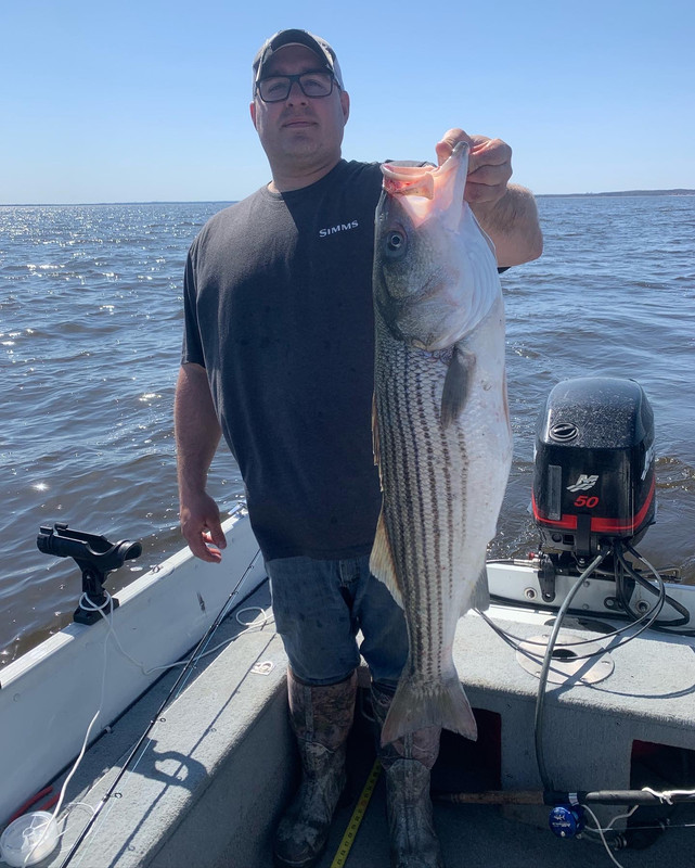 5D809693-80E5-498D-988F-B96166E02DFF