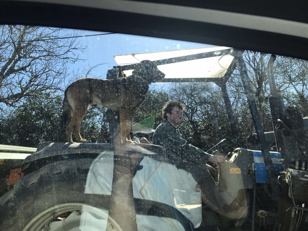 BFECF401-0920-42F4-8128-4B0D283C7646