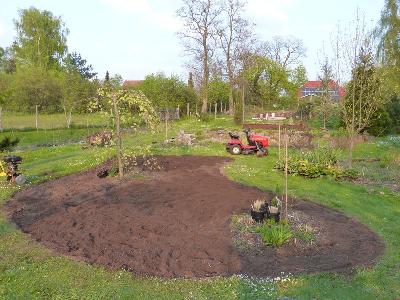 2014-04-19 Gräserbeet4