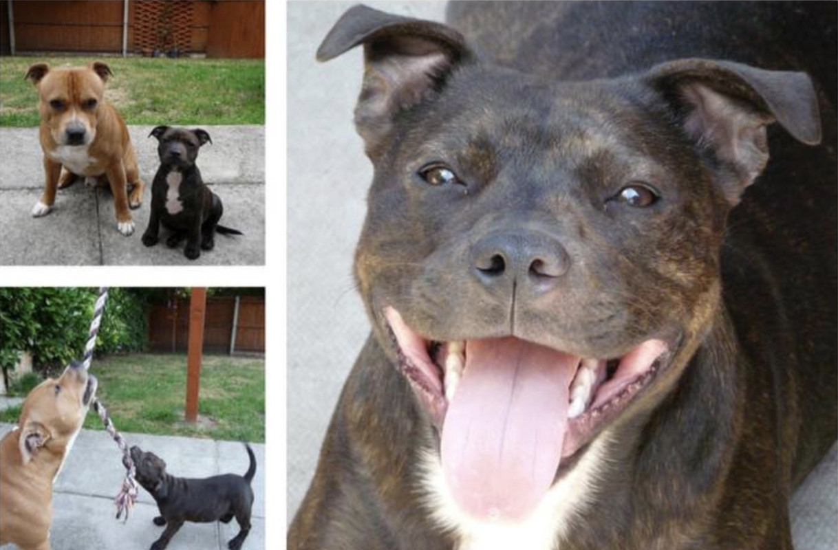 C10464DE-8875-4844-826D-262B4D2B5F9B