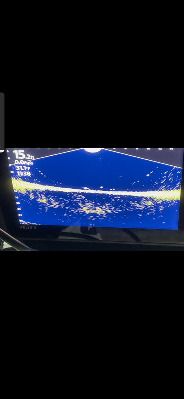 B616B894-36B2-4B89-AC13-01DEAB4AD956