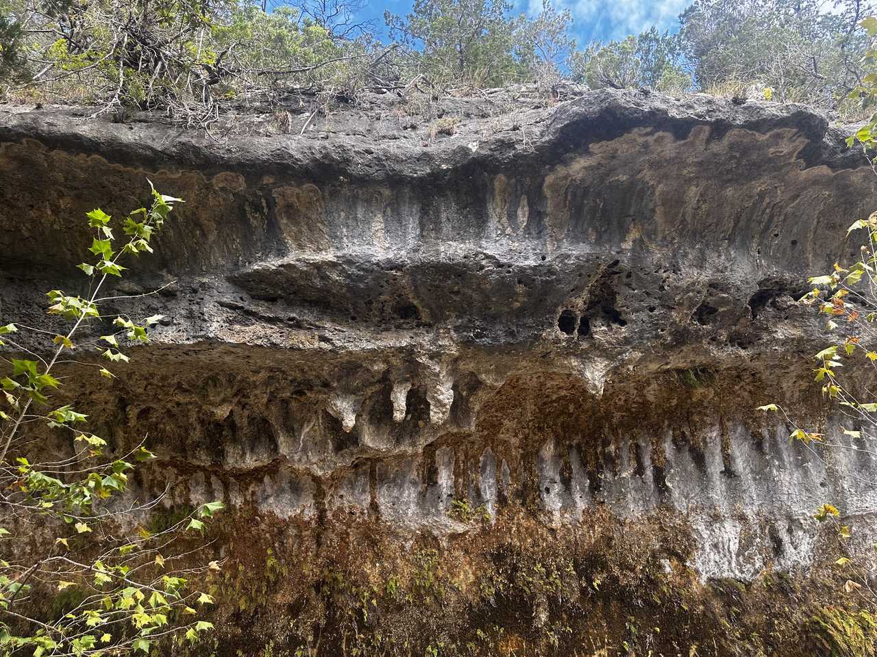 The Grotto
