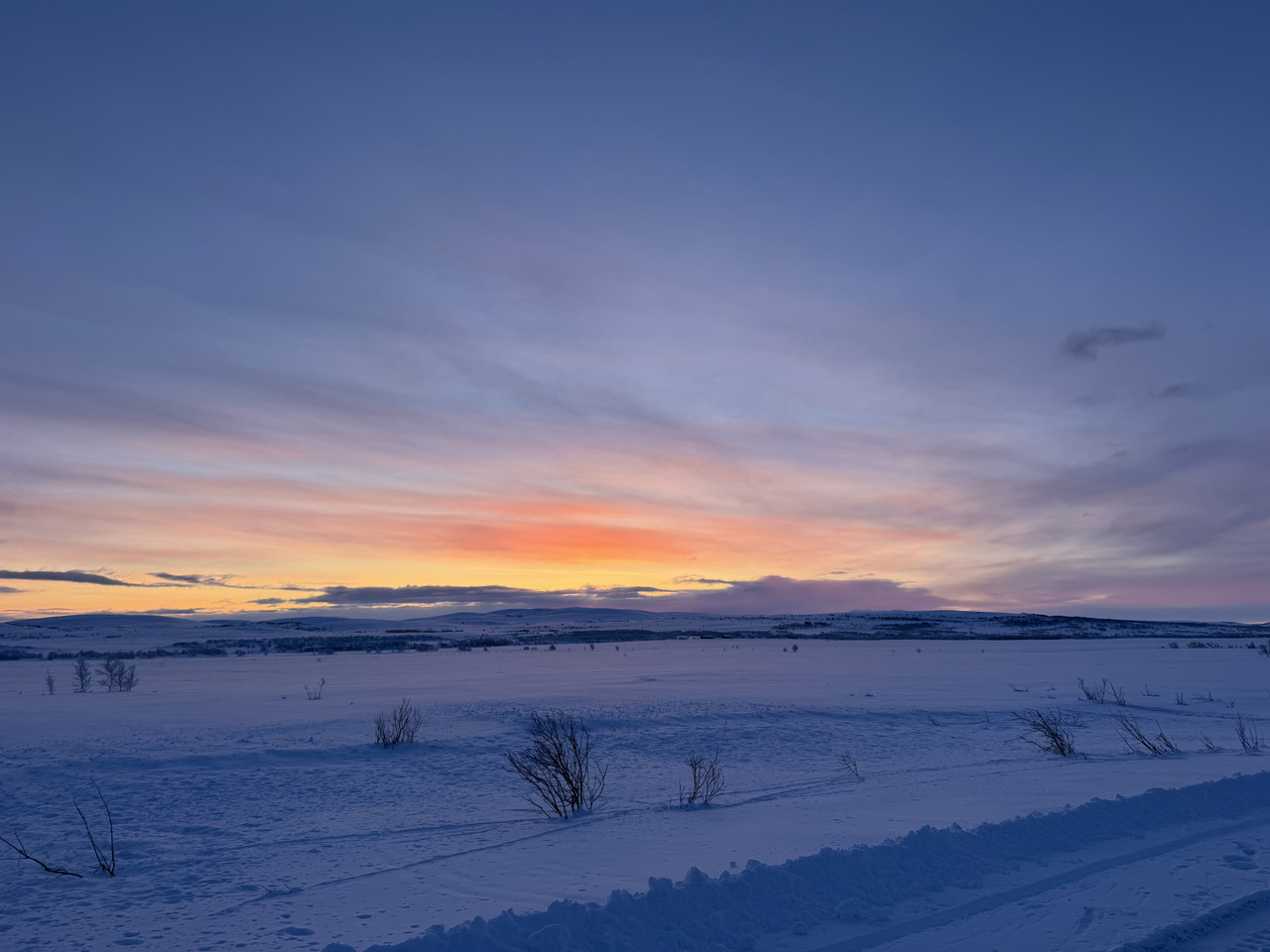 [Immagine: IMG-7859.jpg]