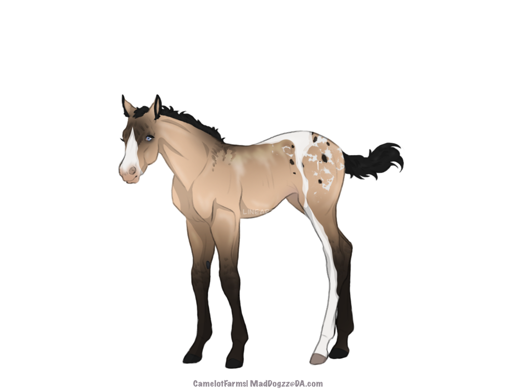 701CA382-F9AB-4E60-B35D-FBD347B399CC