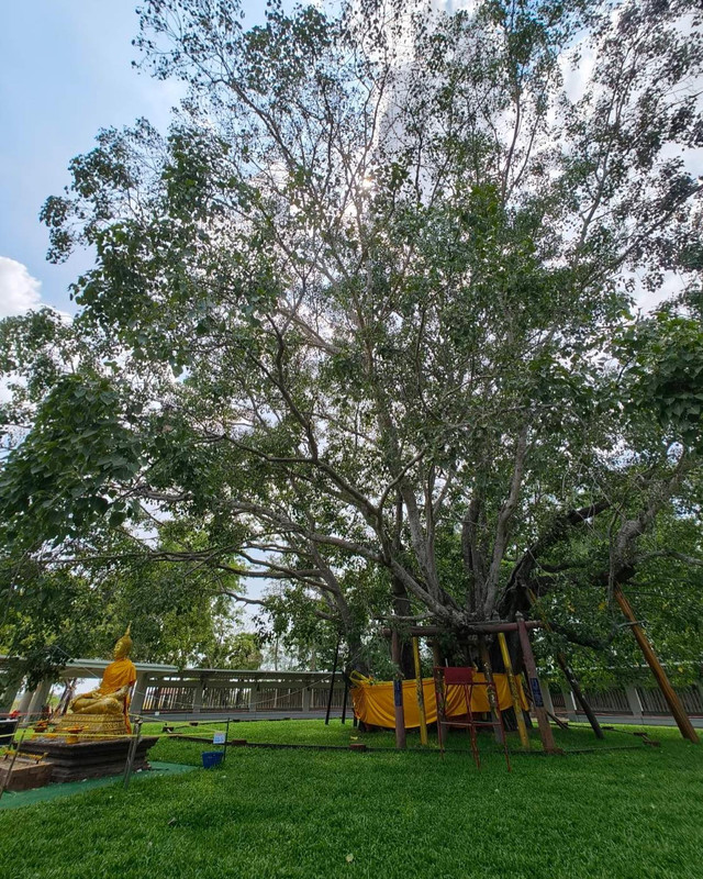 vikkiiexplorer-1713964740-3353301743898733352-54255420614