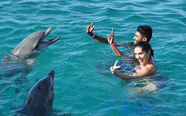 Conoce el mejor Tour de Catamarán en Punta Cana Nadar-delfines