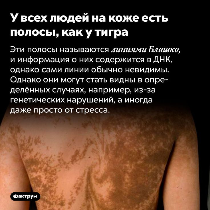 [Изображение: da3c8ca93cfdb57e9114d8444902275c.jpg]