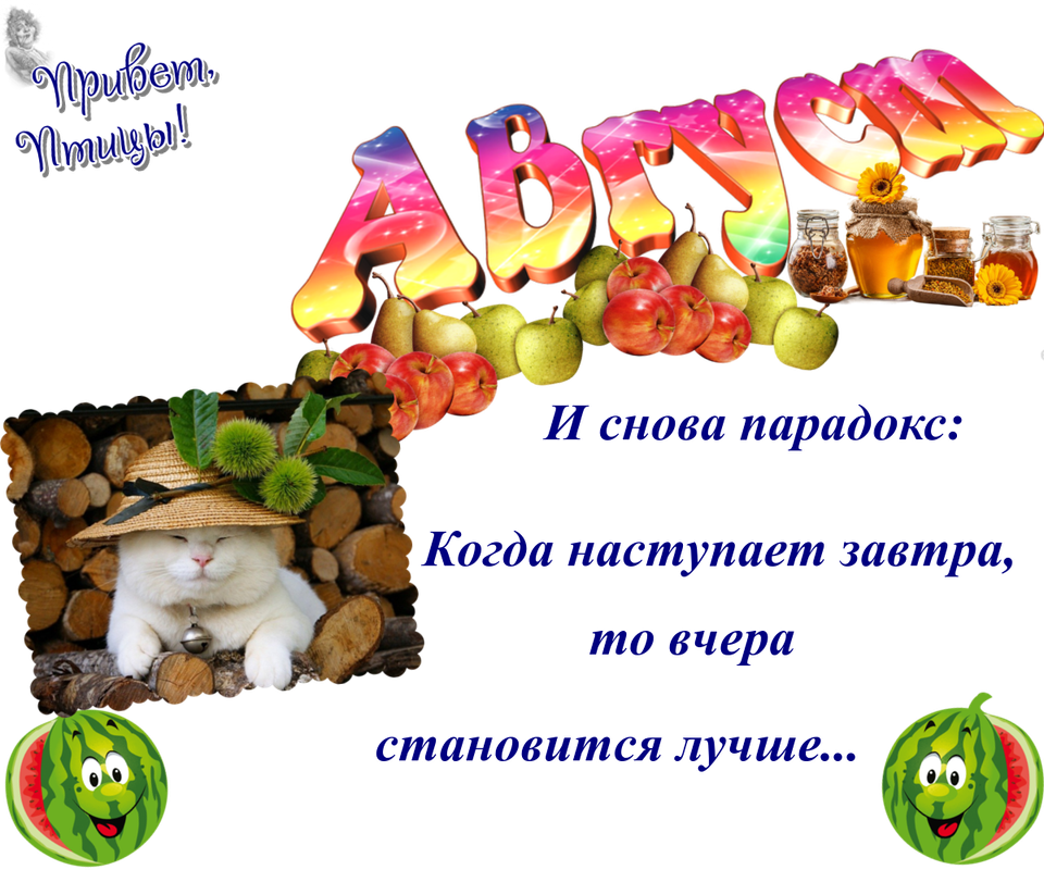 https://i.postimg.cc/ydZ58GHY/27-08.png