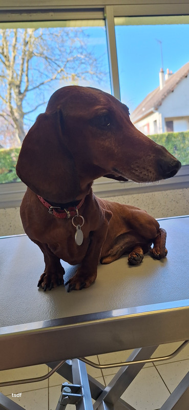 [Image: 20250331-173014.jpg]