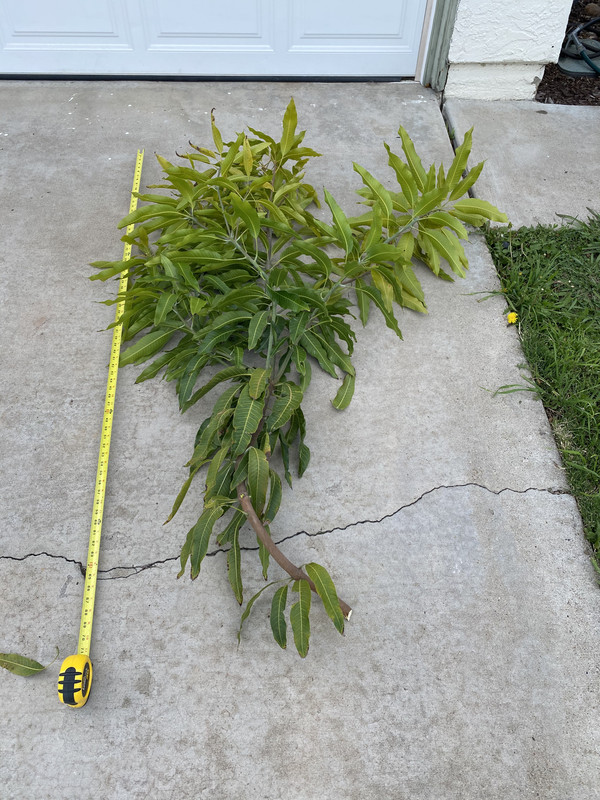 8BC5663E-5B50-4AFD-9257-57FF1492884A