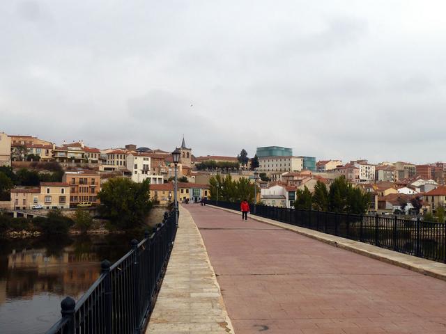 ZAMORA, TORO y "Las Edades del Hombre" - Blogs of Spain - Sábado en Zamora (32)