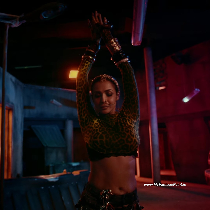 35-Malaika-Arora-Hot-in-Chillgum-Song-by-Yo-Yo-Honey-Singh-My-Vantage-Point