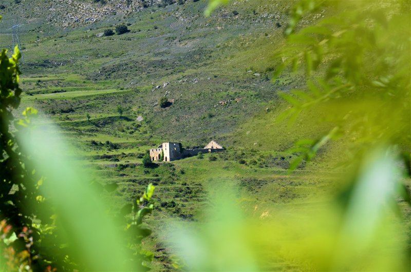 POZA DE LA SAL-25-6-2013-BURGOS - Paseando por España-1991/2016 (3)