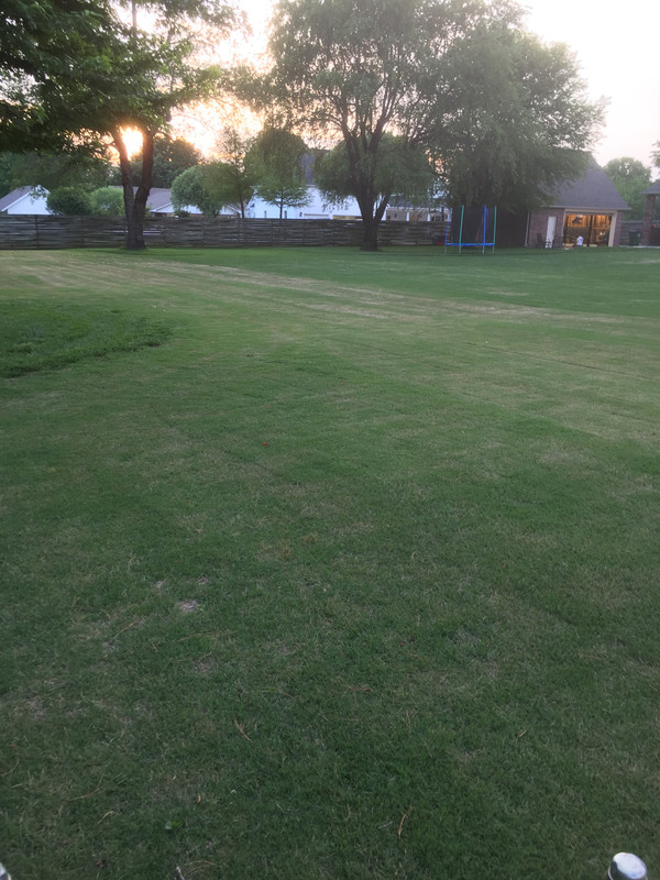 3E29B140-C4E2-44C0-9F31-7922FA1549A0