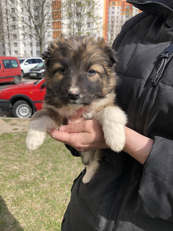 95B48746-4E7F-4827-AEAA-7817037E4C41