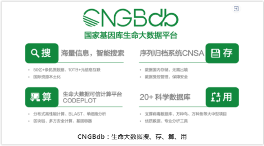 CNGBdb亮相第十三届生物信息学和生物医学技术国际会议-2.png