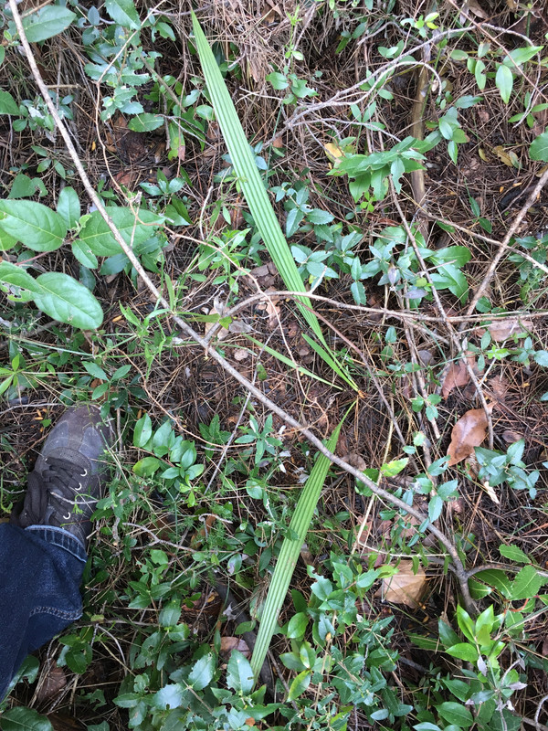 5A316761-8FD5-4028-AB06-B98EC5E51F52