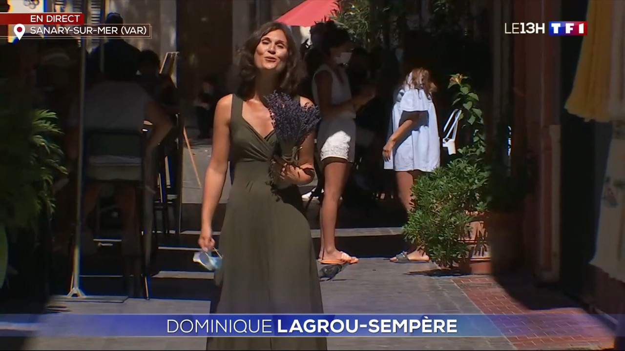 2020-08-26_13_00_TF1_Le-13h.mp4_snapshot_33.26.012