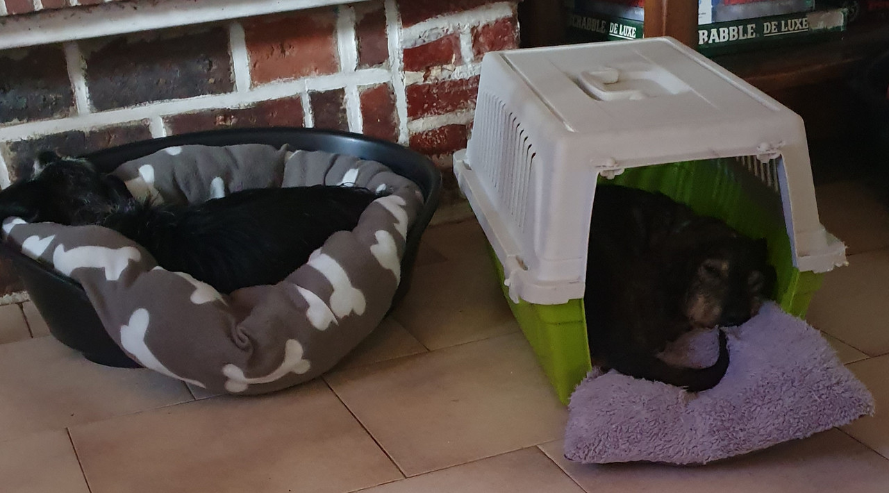 [Image: 20200919-143930.jpg]