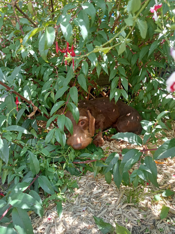 [Image: IMG-20240625-140324.jpg]