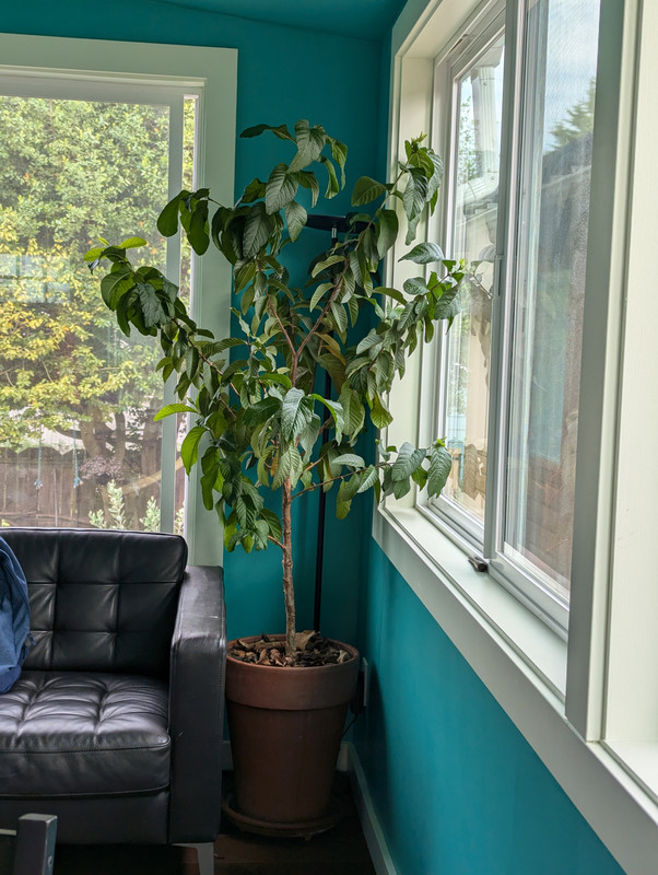 PXL_20240622_153123160