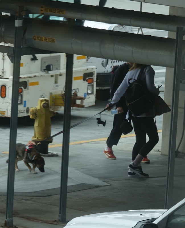 emmawatson-photogallery.blogspot.com (16)