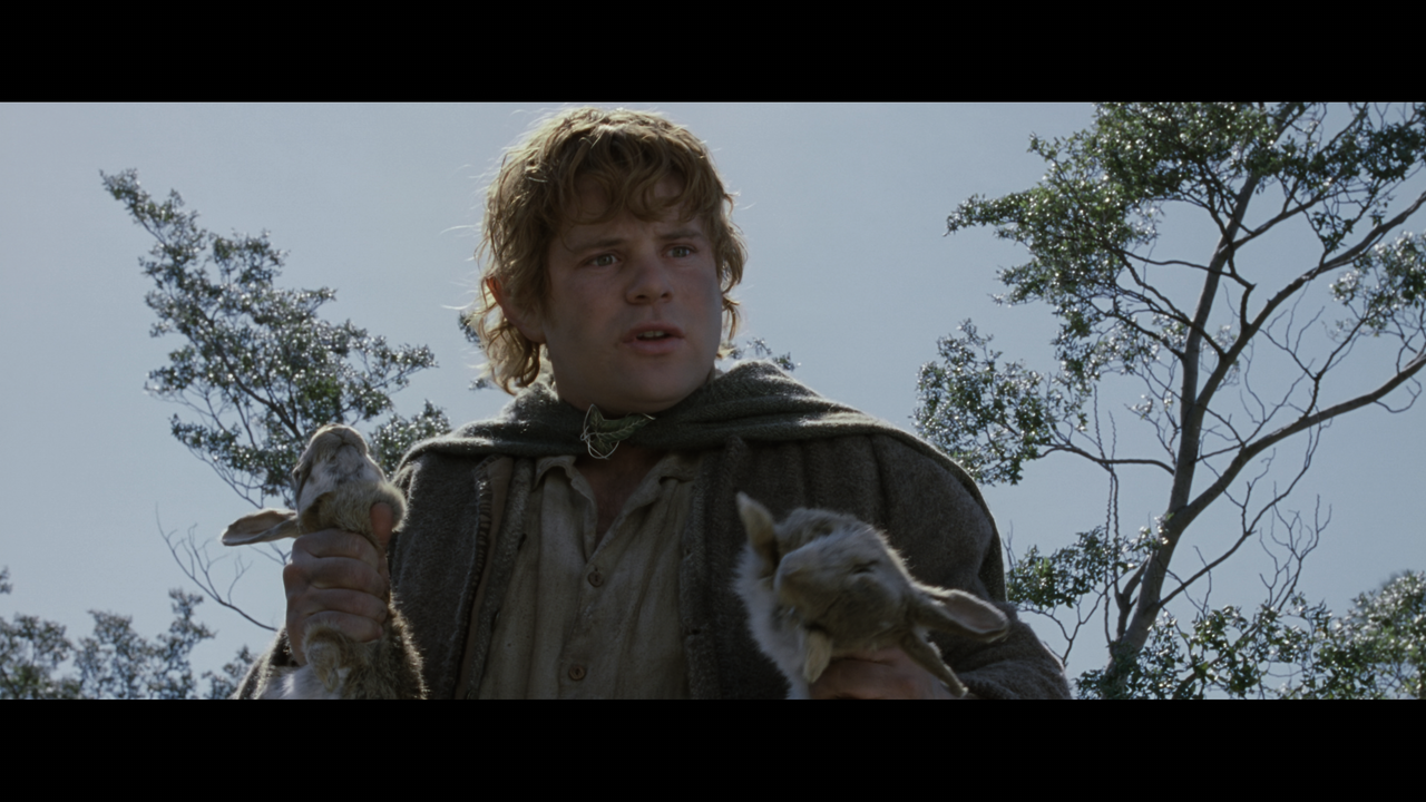 The Lord of the Rings- The Two Towers (EXT.) PT. 1.mkv_snapshot_01.41.52_[2020.12.08_18.21.45]