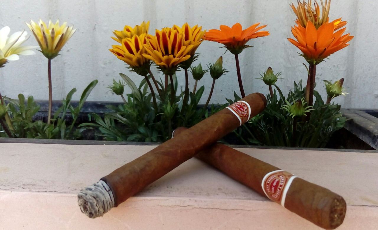 IMG_20200508_164243_145[1]