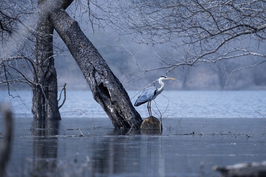 κοζάνη, ειδήσεις, νέα, Πτολεμαΐδα