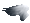 white black wing
