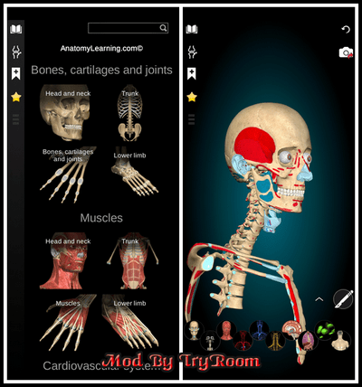Anatomy Learning - 3D Anatomy v2.1.380 PNAMh7oc3-QOI5w7aijkpe-DLL0-Mzg-Yq79