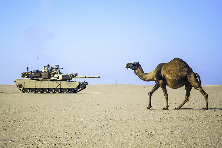 desert-camel-tank-army-preview.jpg