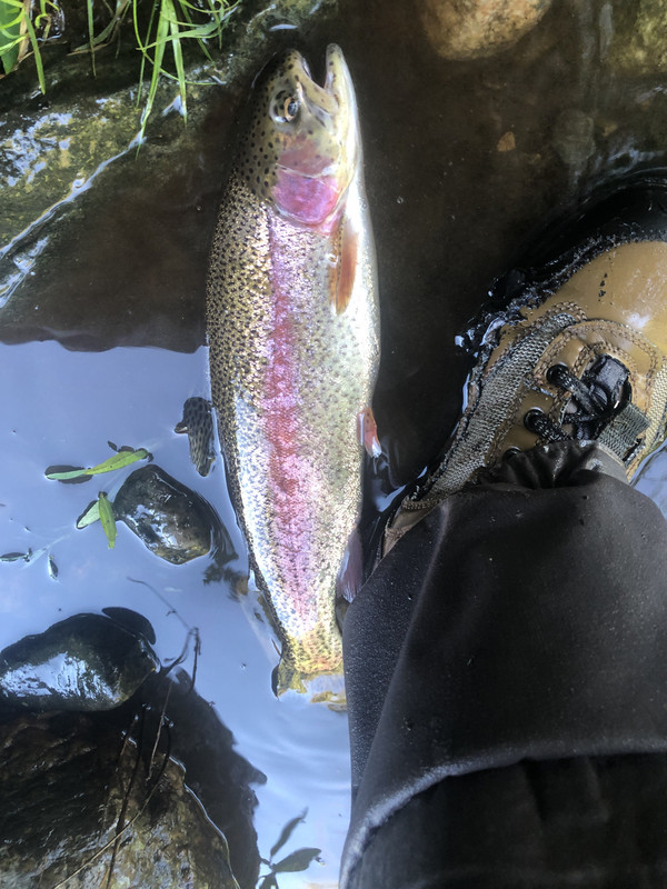 939025EA-8496-444E-B9CD-54E5ABC69703