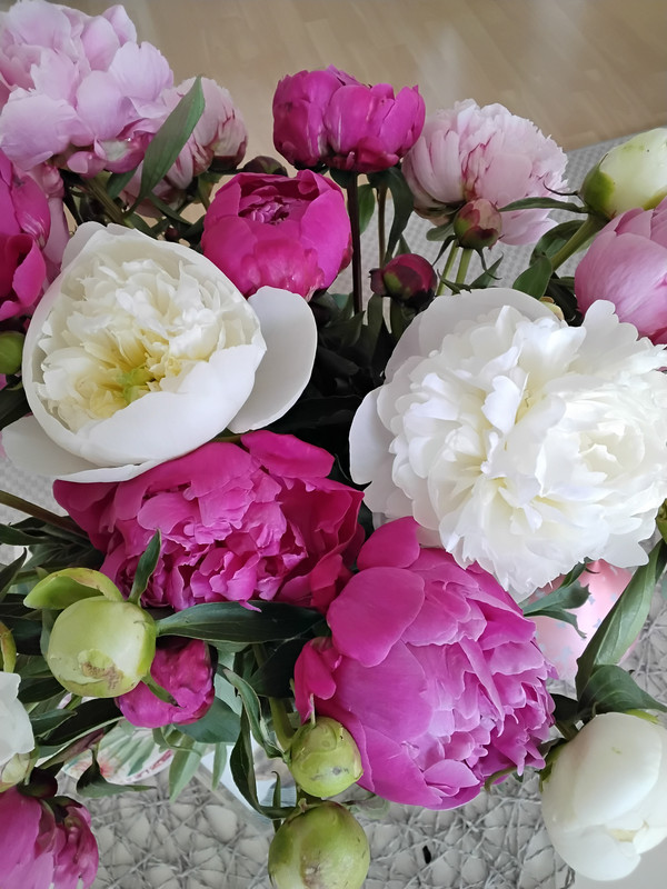 [Image: 20250522-093018.jpg]