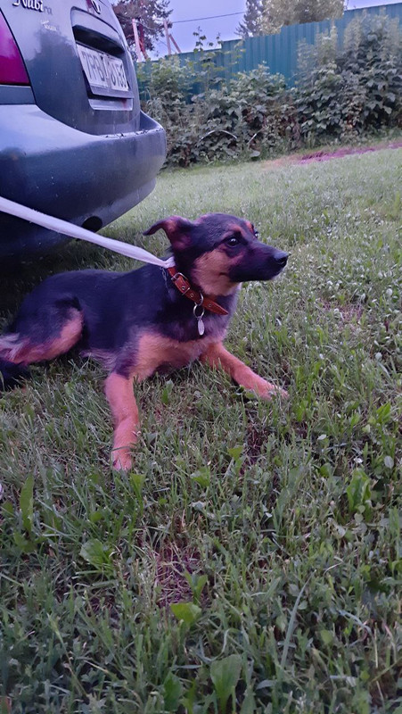 IMG_20220629_223651_886