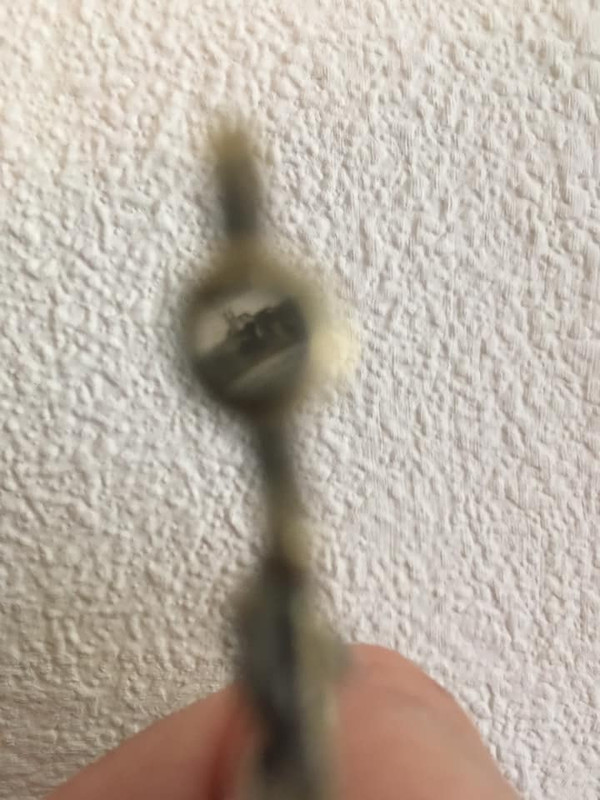 65896147_2347207158733043_4809690749576675328_n