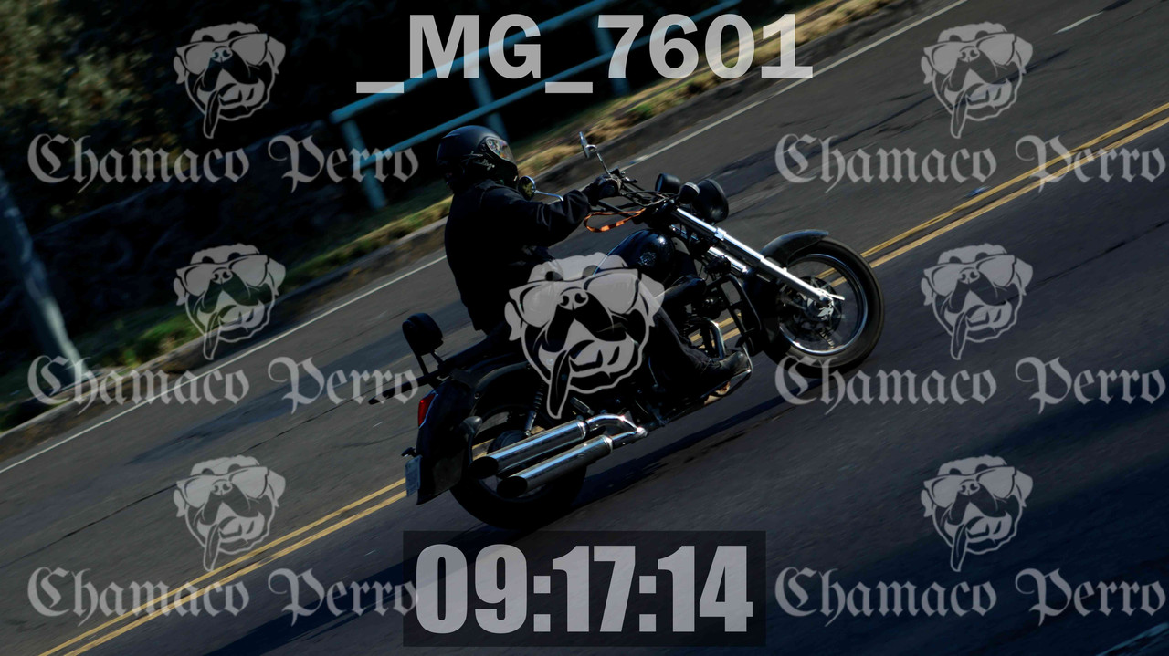 MUESTRA MG 7601 — Postimages