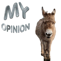 donkey-gif-my-expert-opinion-gif