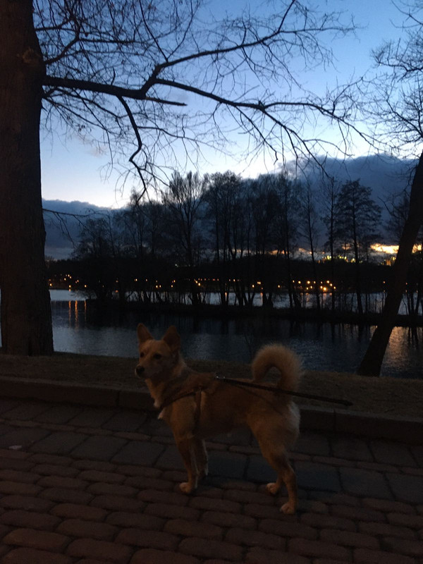 IMG-1e02c645237a799928b1b468b5a89e51-V