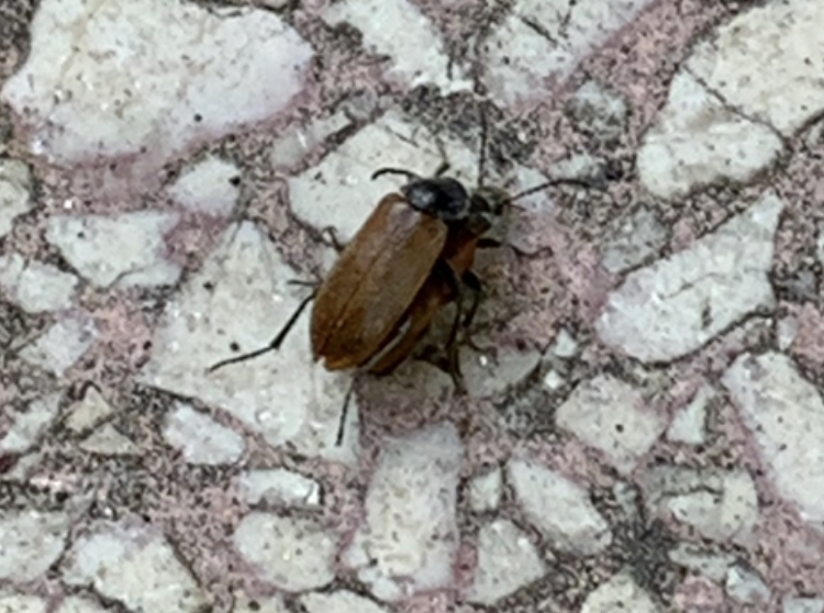 3923E7D6-8B1C-42DF-B910-46B71D76AD34