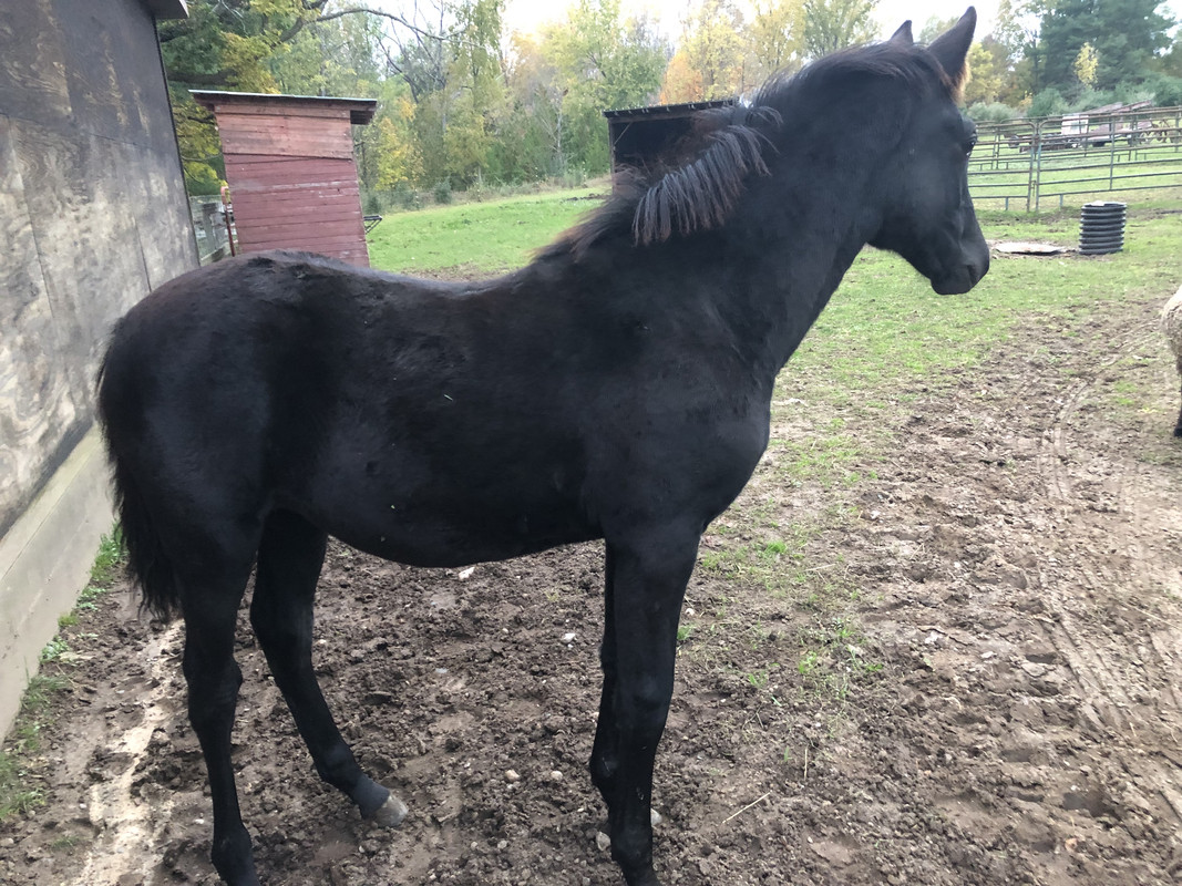 E770AC3C-294B-49C5-8752-80E822853818