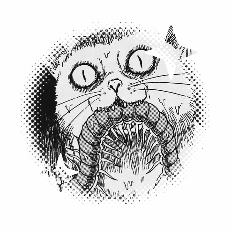 Junji Ito: Cat