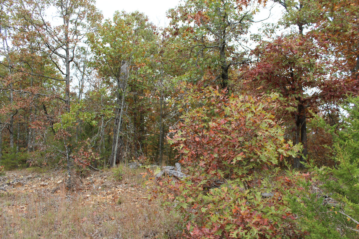 🌟 Hill Top Bliss in Izard County AR: .73 Acres near Premier Attractions Await! 🌟
