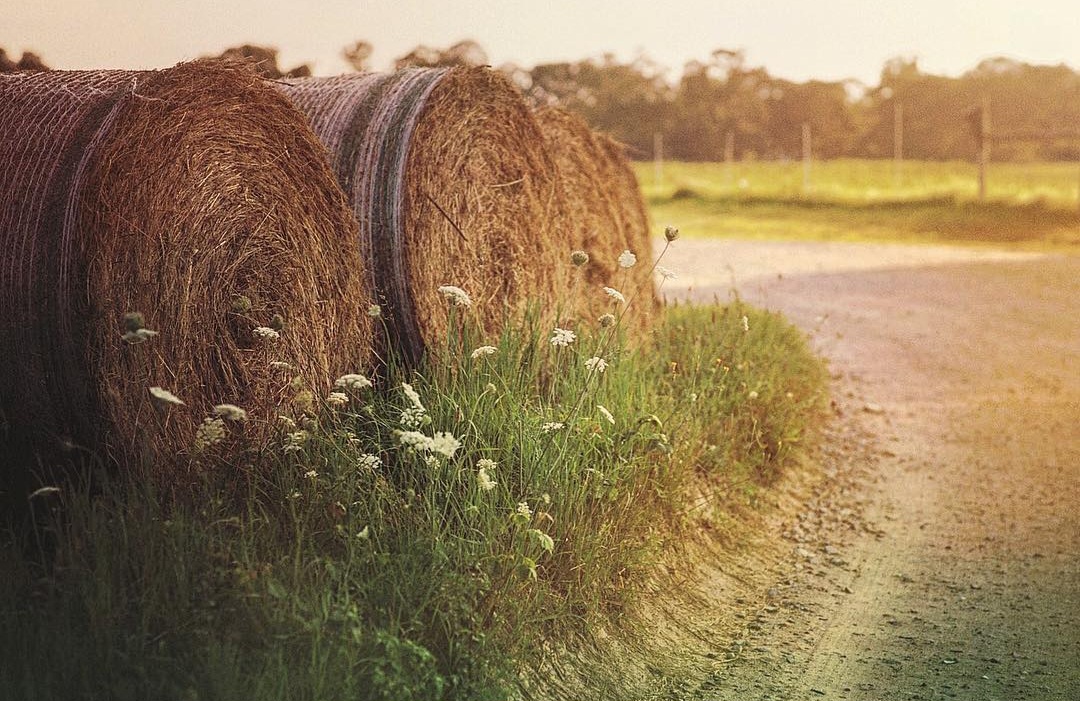 Screenshot_20231206_221125_Instagram