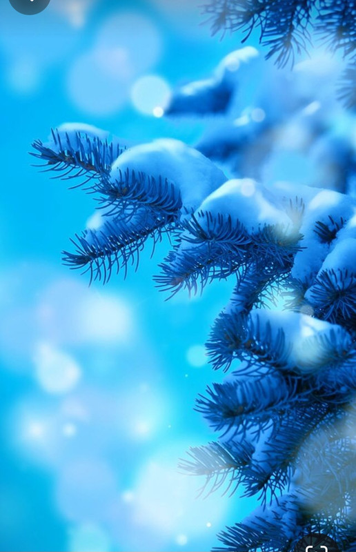 Screenshot_20240130_215623_Pinterest