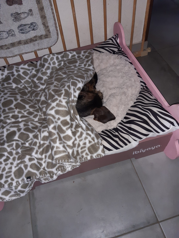 [Image: 20221207-093654.jpg]