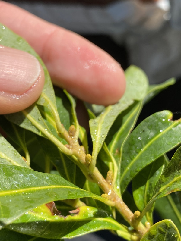 CA9A80EF-591B-4A58-801B-9D84504867FD