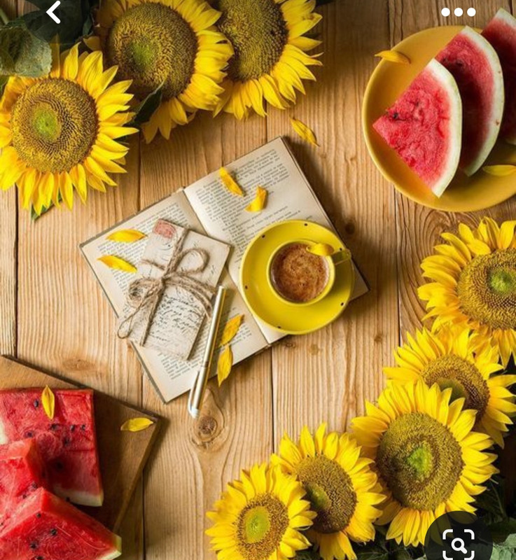 Screenshot_20230706_180704_Pinterest