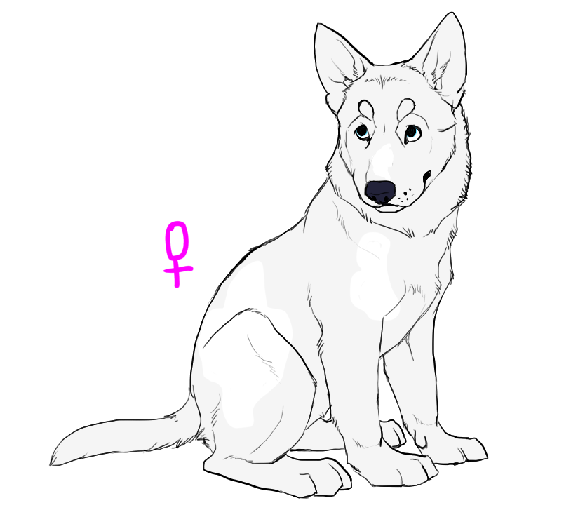 wagginkennelclub-DA-Coloring-268023.png