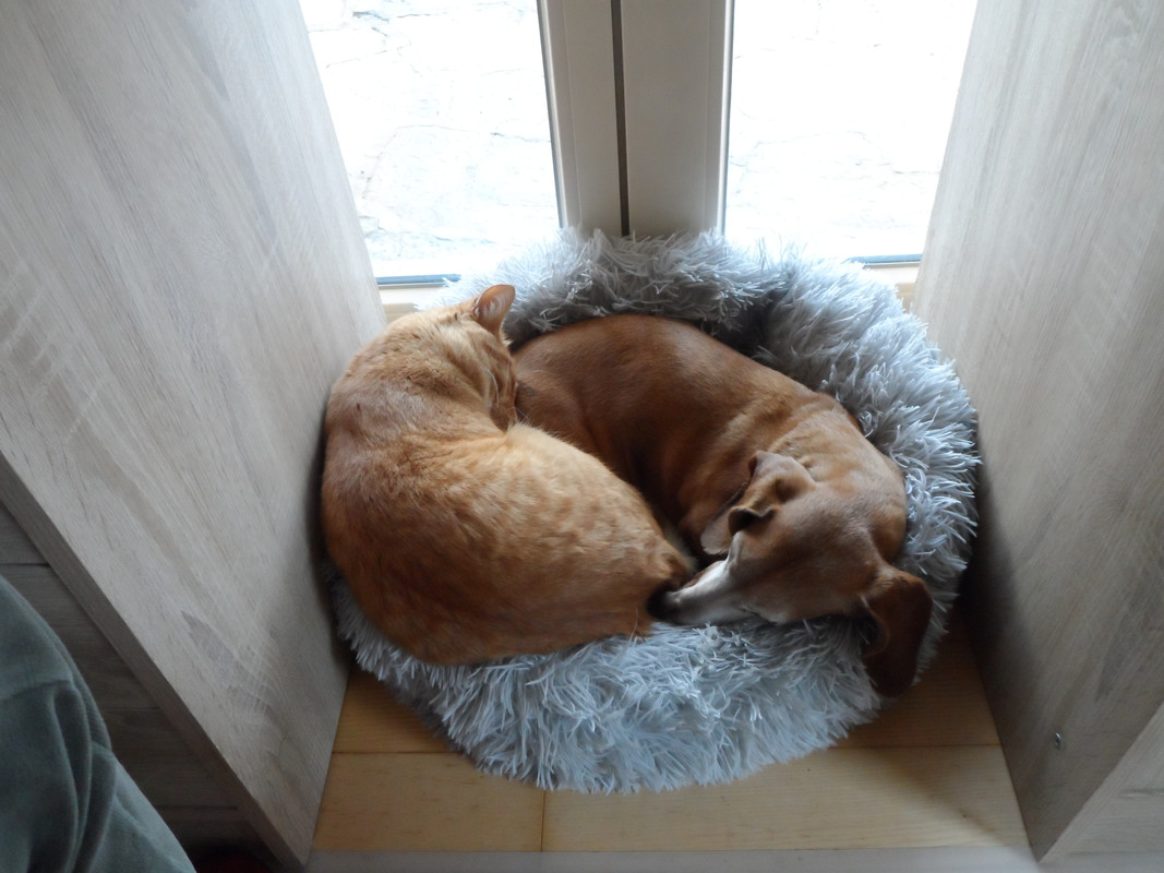 [Image: SAM-0418.jpg]